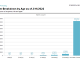  Item Breakdown By Age as a Histogram